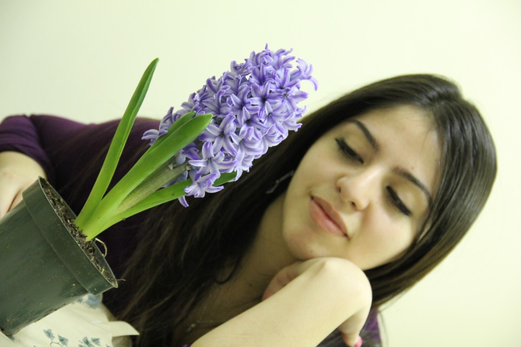 A lavender plant for Tania