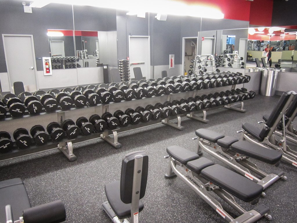 Review of Blink Fitness in Jackson Heights – Campoutkid